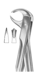  Fig. 99 1 4 lower molars 